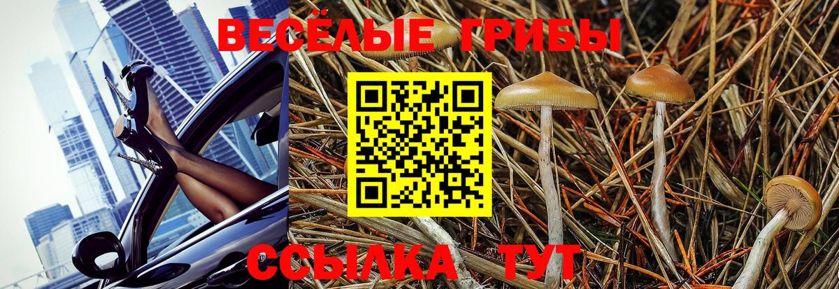 Галлюциногенные грибы мицелий Тельмана
